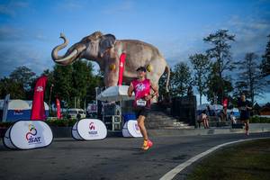 BIB: 
                            <button type="button" onclick="openModal(26541895)" class="btn btn-primary btn-sm float-right btn-popup" data-toggle="modal" data-target=".modal-high-quality">
                        <i class="fas fa-shopping-cart"></i> Add to Cart
                    </button>
                                            <button type="button" onclick="isThisMe(26541895, true)" class="btn btn-success btn-sm float-right btn-popup btn-isme hidden" data-toggle="tooltip" data-placement="bottom" title="นี่คือรูปของคุณใช่ไหม คลิกที่นี่เพื่อเอาเข้าอัลบั้ม">
                        <i class="fas fa-plus"></i> Add to album
                    </button>
                    <button type="button" onclick="isThisMe(26541895, false)" class="btn btn-warning btn-sm float-right btn-popup btn-isnotme hidden">
                        <i class="fas fa-ban"></i> Remove from album
                    </button>